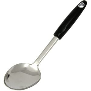 Select Stainless Steel Spoon